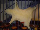 [Photo of hotel polar bear]