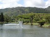 [Photo of Smith's Tropical Paradise]