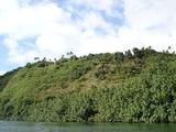 [Photo of Wailua River]