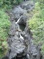 [Photo of the ʻOheʻo Gulch from the bridge]