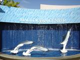 [Photo of Maui Ocean Center]