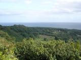[Photo of Wailua Valley State Wayside view]