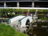 [Photo of Chinese Garden]
