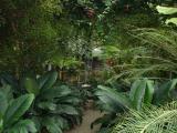 [Garden]