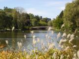 [Photo of a bridge in Victoria Park]