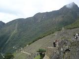 [Photo of terraces]