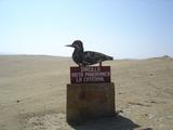 [Photo of La Catedral Inca Tern sign]