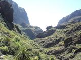 [Photo of the Masca gorge]